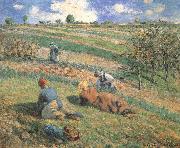 Camille Pissarro Field work oil